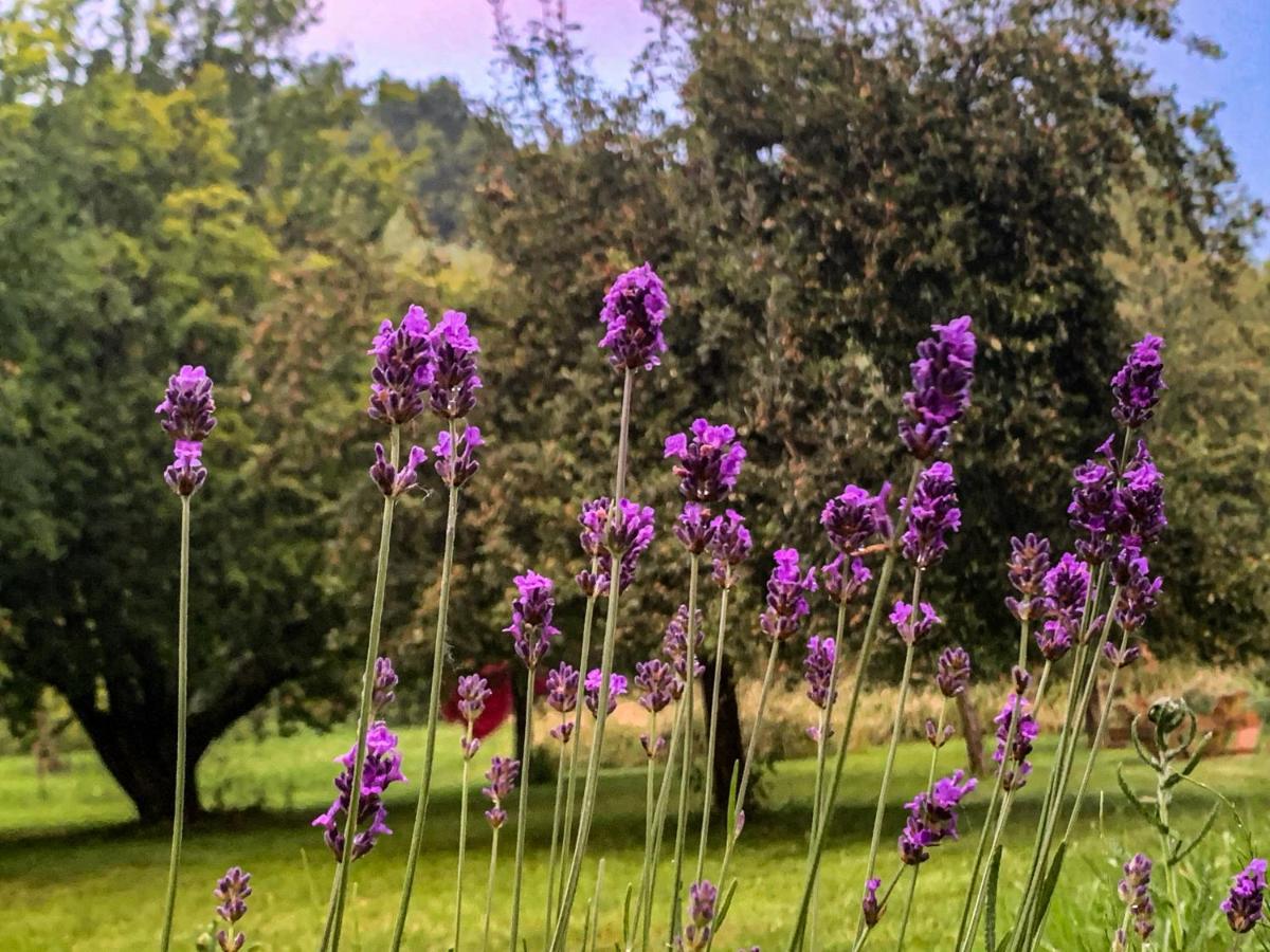 Holiday Home Les Plachettes Flobecq Exterior foto